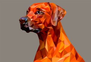 grafik-tasarim-cizim-kopek-grafik-sanat-300x206 grafik tasarım-çizim-köpek-grafik sanat