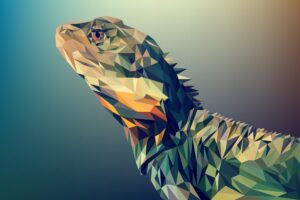 grafik-tasarim-surungen-iguana-cizim-300x200 grafik tasarım-sürüngen-iguana-çizim